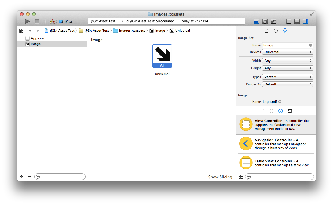 Screenshot of Xcode showing the Attributes inspector in an Xcode Asset Catalog.