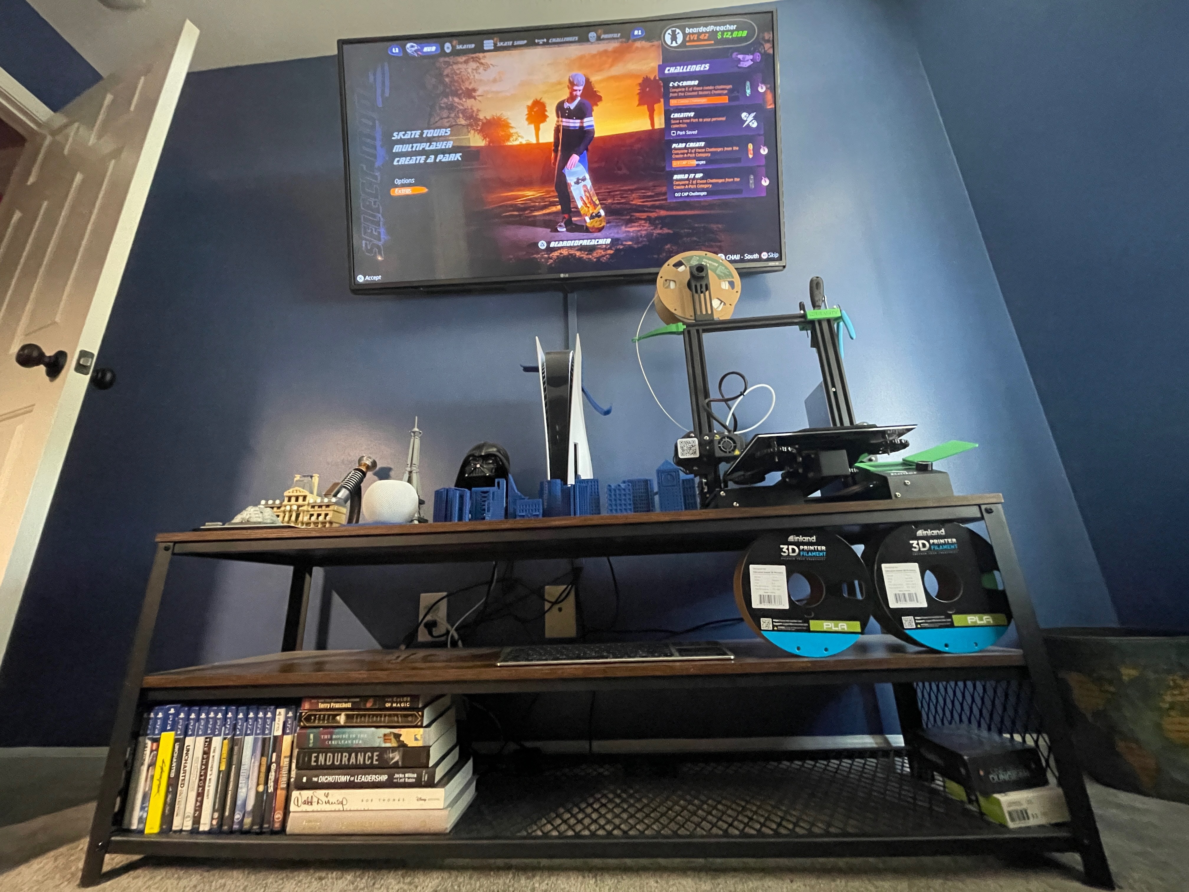 Entertainment Setup