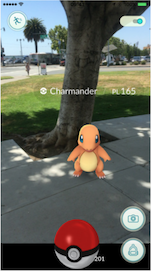 Pokémon Go game (image taken from the internet)